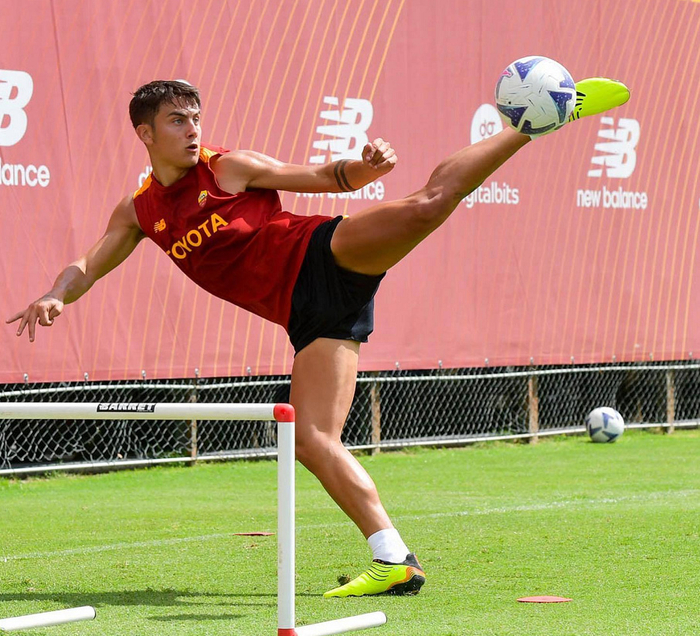 关于今晚意大利杯传出新动向；洛杉矶快船官宣签约；管理层表态——媒体盛赞；数据趋势出现新变化的信息